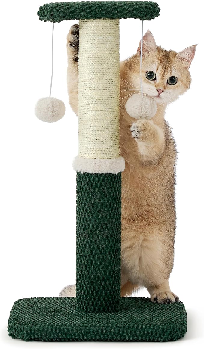Lesure Cat Scratching Post for Indoor Cats - Highly Resistant Carpet Scratch Posts, Premium Sisal Rope Scratch Posts for Kittens, Sturdy Small Cat Scratch Pole with Hanging Ball, Green(22.5 inch) - PAWPICO