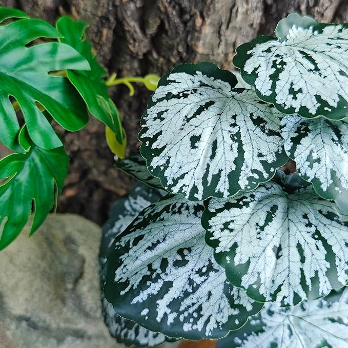 Woyrise Reptile Artificial Plants for Terrarium Decor, Amphibian Habitat Decorations Bearded Dragon Tank Accessories fit Crested Gecko Leopard Lizard Chameleon Snake Frog - Fake Spots Heuchera Woyrise