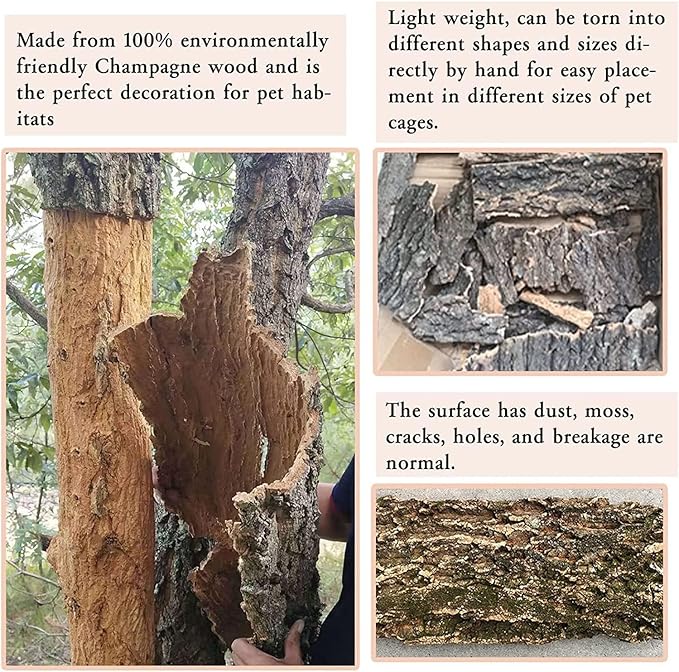 2PCS Cork Terrarium Background 15.7x11.8in Natural Cork Large Bark Backdrop Reptile Climbing Mat Habitat Decor for Spider Lizard Chamelon Turtle Beared Dragon Hamiledyi