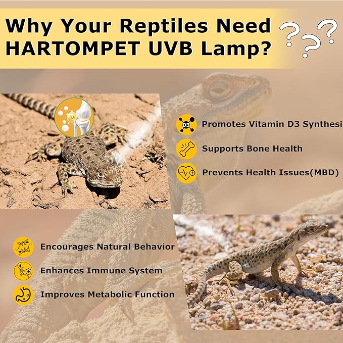 10.0 UVB Reptile Light 26W, Compact Desert Lamp, Coil UVB Bulb for Bearded Dragons, Lizards, Snakes, Geckos, Amphibians – Lighting for Habitat Tank, Pet Terrarium & Large Reptile Cage HARTOMPET