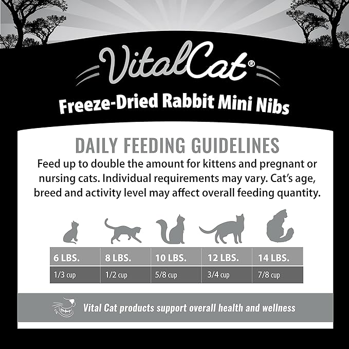 Vital Essentials Freeze Dried Cat Food, Rabbit Mini Nibs 12 oz VitalEssentials