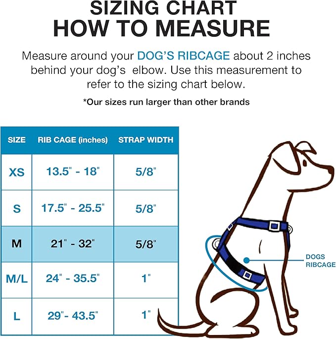 Blue-9 Buckle-Neck Balance Harness, Fully Customizable Fit No-Pull Harness, Ideal for Dog Training and Obedience, Made in The USA, Blue, Medium Blue-9