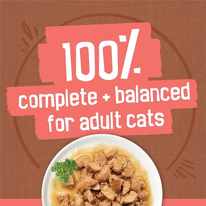 Purina Friskies Extra Gravy Wet Cat Food Chunky 24ct Variety Pack (With Chicken, Turkey, Salmon, Beef) - (Pack of 24) 5.5 oz. Cans - PAWPICO