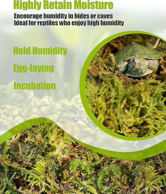 Sphagnum Moss for Reptile, Reptile Tank Accessories, Terrarium Substrate Bedding for Geckos, Hermit Crab, Frog, Snake, 5.3OZ Helidrago