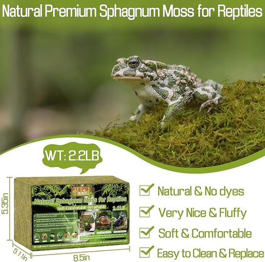 Halatool 2.2LB Natural Sphagnum Moss for Reptiles- 50QT Green Live Moss for Terrarium Plants Long Fiber Reptile Moss for Leopard Gecko Snake Hamsters Tortoises Frogs Lizards Salamanders HALATOOL