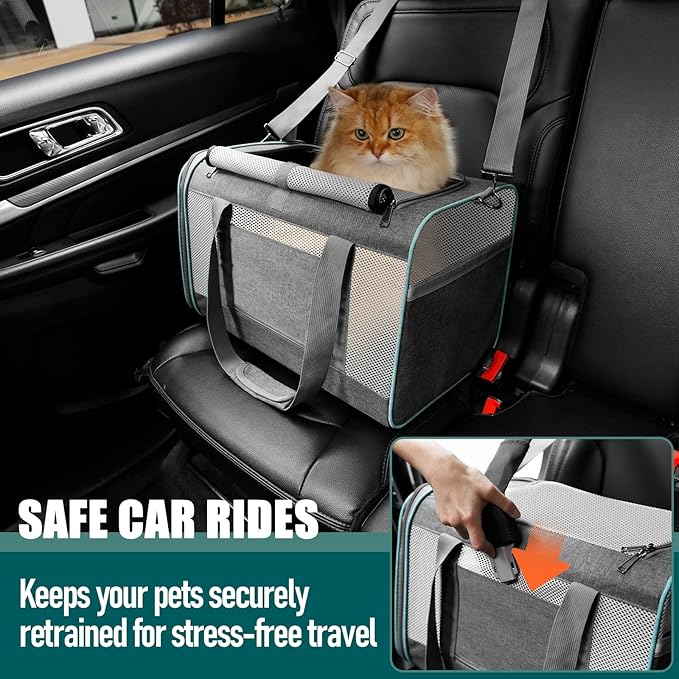 Pet Carrier for Large Cats 20 lbs+ / Soft Sided Small Dog Travel Carrier Top Load/Collapsible Carrier Bag for Big Cat / 2 Kittens Sturdy Transport Carrier Long Trips/Medium Cats 15 pounds - PAWPICO