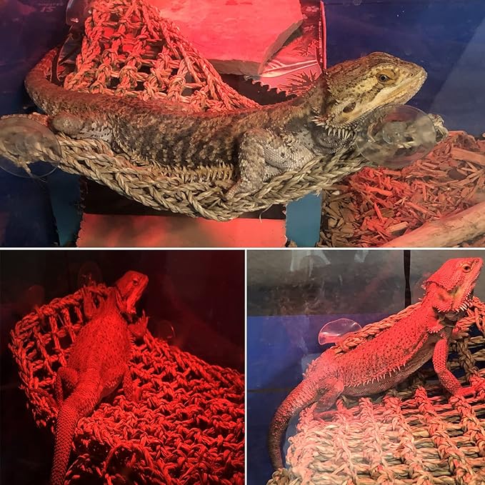 PINVNBY Bearded Dragon Hammock,Reptile Lizard Lounger Natural Seagrass Habitat Decoration Reptiles Tank Accessories Jungle Climber Vines Flexible Leaves Climbing Decor for Gecko Chameleon Snakes PINVNBY