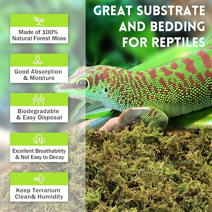 Riare 21 OZ Premium Sphagnum Moss for Reptiles- 50QT Natural Live Moss Reptile Moss Bedding for Terrarium, Hatching, Forest Sphagnum Moss Reptile Substrate for Snakes, Gecko, Turtles, Frogs, Leopard Riare