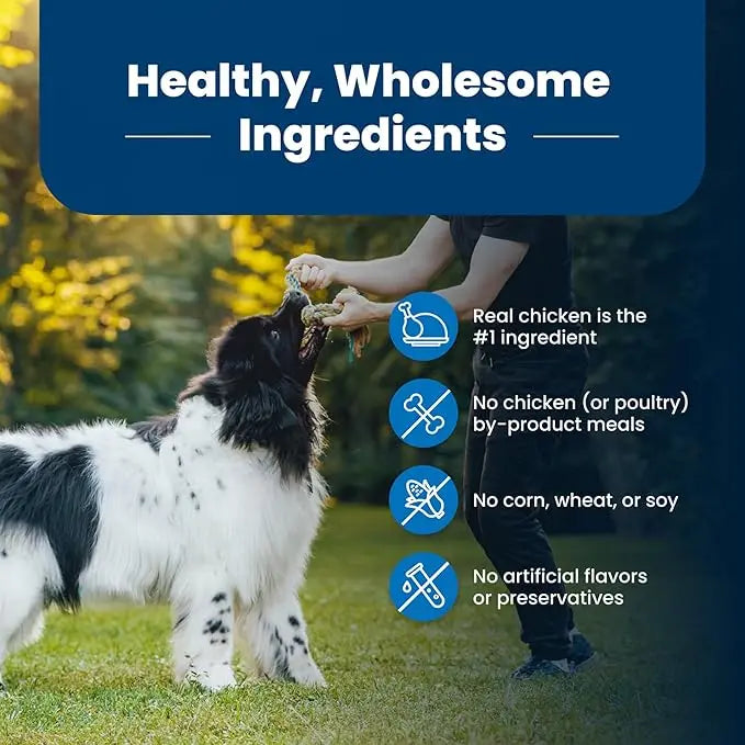 Blue Buffalo Life Protection Formula Adult Dry Dog Food, Helps Build and Maintain Strong Muscles, Made with Natural Ingredients, Chicken & Brown Rice Recipe, 5-lb. Bag - PAWPICO