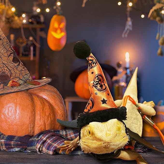 Halloween Bearded Dragon Leash Bearded Dragon Witch hat hat Leash Set Suitable for Bearded Dragon Small Pets HOKABLE