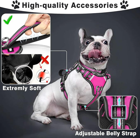 WINSEE Pet Harness Collar and Leash Set, All-in-one Reflective Dog Harness No Pull with Adjustable Buckles for Puppies, Small, Medium, Large, and Extra-Large Dogs (Large, Rosy) WINSEE
