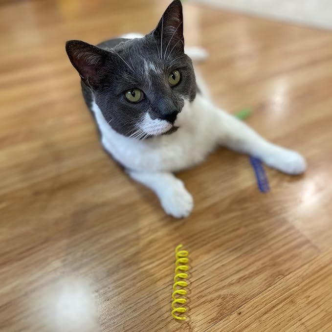 SPOT Thin Colorful Springs Cat Toy - Bouncy Toys for Medium Indoor Cat Breeds to Bite, Swat, Chase - Keeps Cats & Kittens Entertained for Hours - Includes Ten 3” Wide Spiral Springs, Assorted Colors - PAWPICO