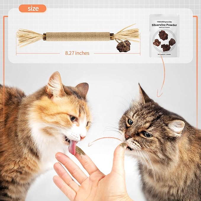 Cat Toys - 3PCS Silvervine Chew Sticks & 1PCS Silvervine Powder, Cat Dental Toys for Kitten Teeth Cleaning, 100% Natural Catnip Alternative for Chewing, Training & Playing - PAWPICO