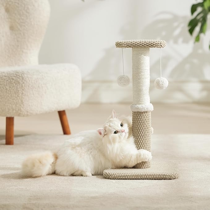 Lesure Small Cat Scratching Post - Premium Sisal Rope Highly Resistant Carpet Cute Scratching Posts for Indoor Kittens, Sturdy Small Cat Scratch Pole with Hanging Ball, Beige(22.5 inch) - PAWPICO