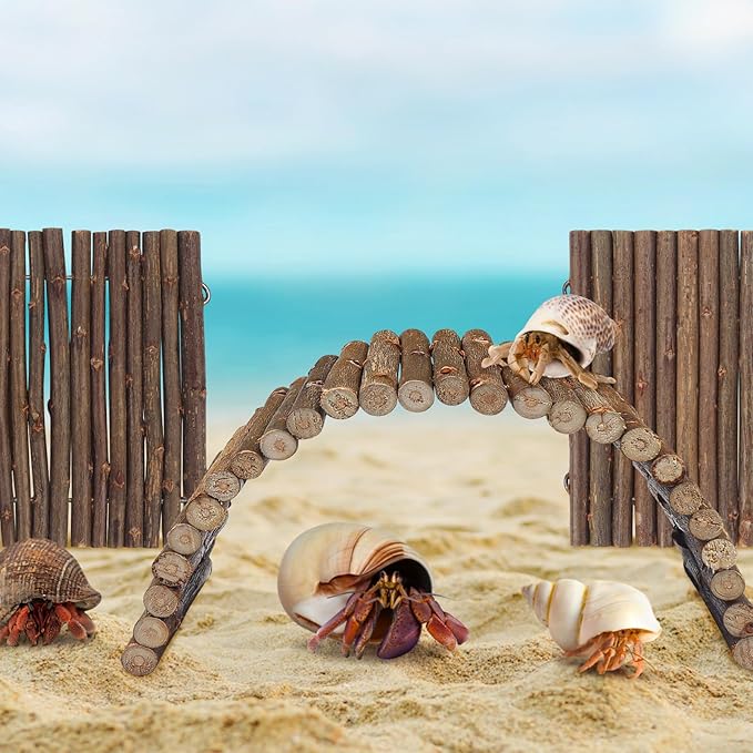 2PCS Reptile Hideout Hermit Crab Bendable Wooden Bridge, Wooden Hermit Crab Hideout Climbing Toys, Reptile Tank Habitat Decor Wooden Hiding Hut for Hermit Crab Lizards Mouse Spiders QUOZUO
