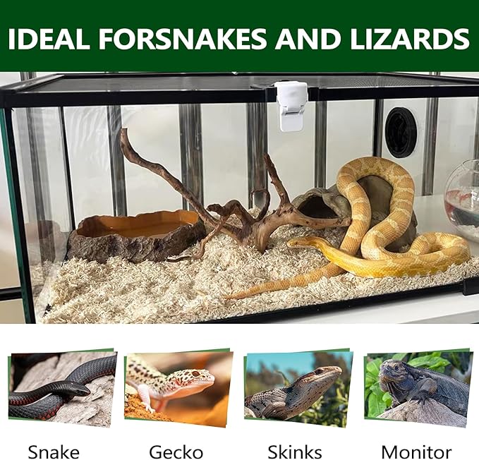 BNOSDM Aspen Snake Bedding,Corn Snake Substrate,Reptile Forest Floor Bedding,Amphibian Tank Substrate,Aspen Shavings Bedding for Ball Python,Lizard,Tortoise,Hamster,4 Quart BNOSDM