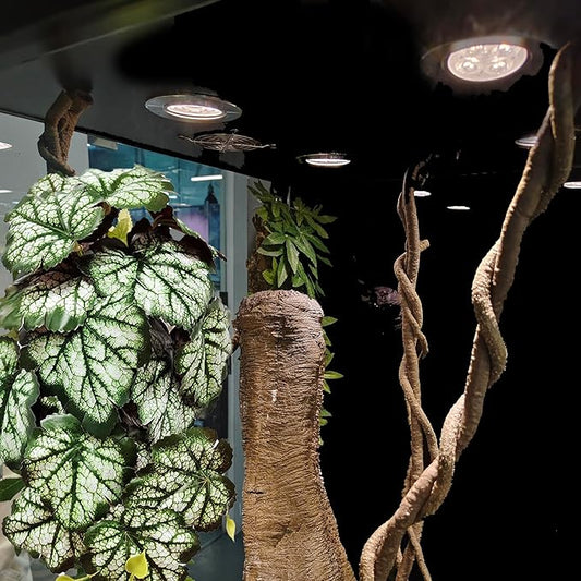 Woyrise Reptile Plants, Terrarium Hanging Plants Vines for Reptile Tank, Amphibian Habitat Leaves Decor with Suction Cups for Bearded Dragon Lizard Snake Gecko Frog Hermit Crab - 2Pack Green Heuchera Woyrise