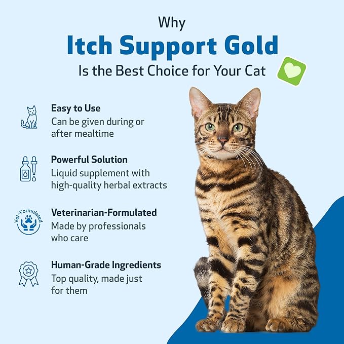 Pet Wellbeing Itch Support Gold for Cats - Occasional Itching, Scratching, and Hot Spots, Environmental and Seasonal Allergies, Dong Quai - Veterinarian-Formulated Herbal Supplement 2 oz (59 ml) PetWellbeing