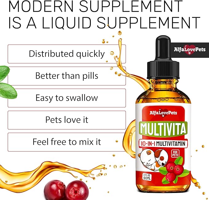 ะกat Vitamins for Indoor Cats in Drops โ Liquid Multivitamin for Dogs โ Dog Multivitamin Liquid Supplement โ Cat Multivitamin โ Multivitamin for Dogs โ Vitamin C for Cats โ 2 oz AlfaLovePets