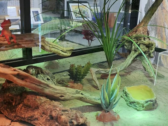 Woyrise Reptile Plants for Terrarium Decor, Amphibian Habitat Artificial Plants Bearded Dragon Tank Accessories fit Crested Gecko Leopard Lizard Chameleon Ball Python Snake Frog - Calamus Woyrise