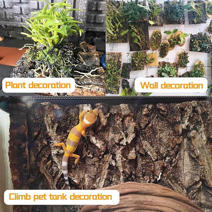 6PCS Cork Terrarium Background 15.7x11.8in Natural Large Cork Bark Backdrop Reptile Climbing Mat Tank Habitat Decor for Spider Lizard Chamelon Turtle Beared Dragon Hamiledyi