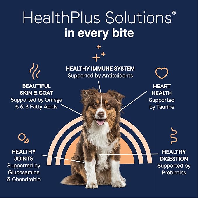 Canidae Pure Real Salmon & Sweet Potato Recipe Adult Dry Dog 22 LB - PAWPICO