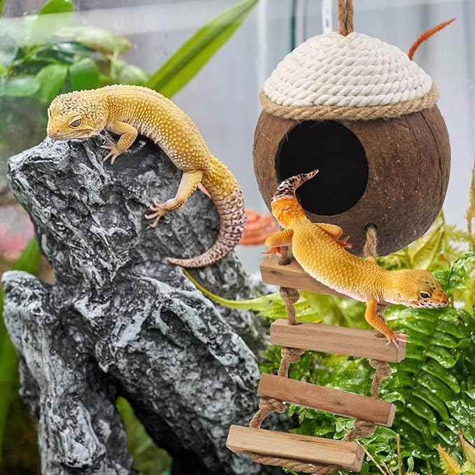 Leopard Gecko Coconut Hut with Ladder,Grested Gecko Coco Den Lizards Hanging Coconut Shell Hideout Cave Reptiles Tank Accessories Climbing Hanging Plants Jungle Vine Flexible Leaves Decor MUYG