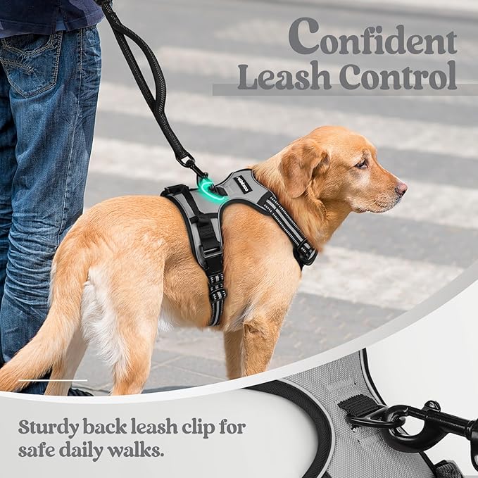 rabbitgoo Dog Harness No Pull with 2 Leash Clips, Adjustable Soft Padded, Reflective Oxford No Choke Pet Vest with Easy Control Handle for Medium Sized Dogs, Grey, M rabbitgoo
