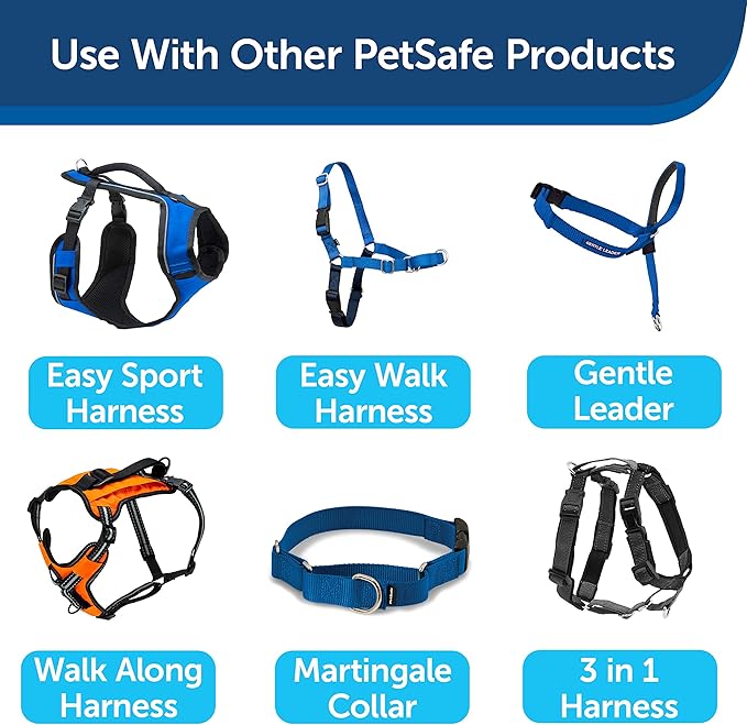 PetSafe Nylon Dog Leash – Strong, Durable, Traditional Style Leash with Easy to Use Bolt Snap – 1" x 6', Royal Blue - PAWPICO