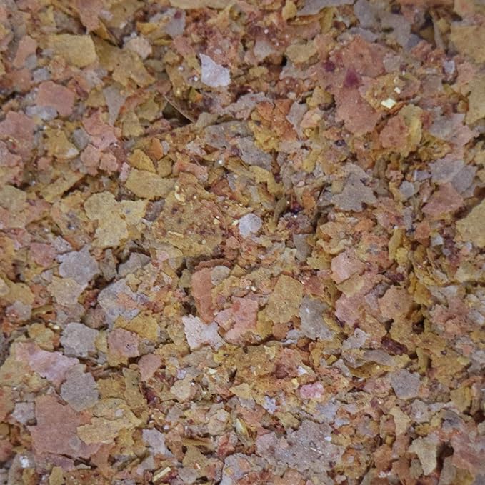 API TROPICAL FLAKES Fish Food 1.1-Ounce Container API