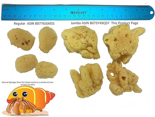 Awesome Aquatic 4-Pack of Hermit Crab Sea Sponges (Jumbo 4 pk) Awesome+Aquatic