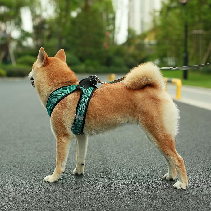 Voyager Step-in Air Dog Harness - All Weather Mesh, Reflective, No Pull Harness for Small, Medium Dogs, Cats - Secure with Hook & Loop Fastener, Buckle, Double D-Rings - Turquoise 2-Tone, L BestPetSuppliesLLC