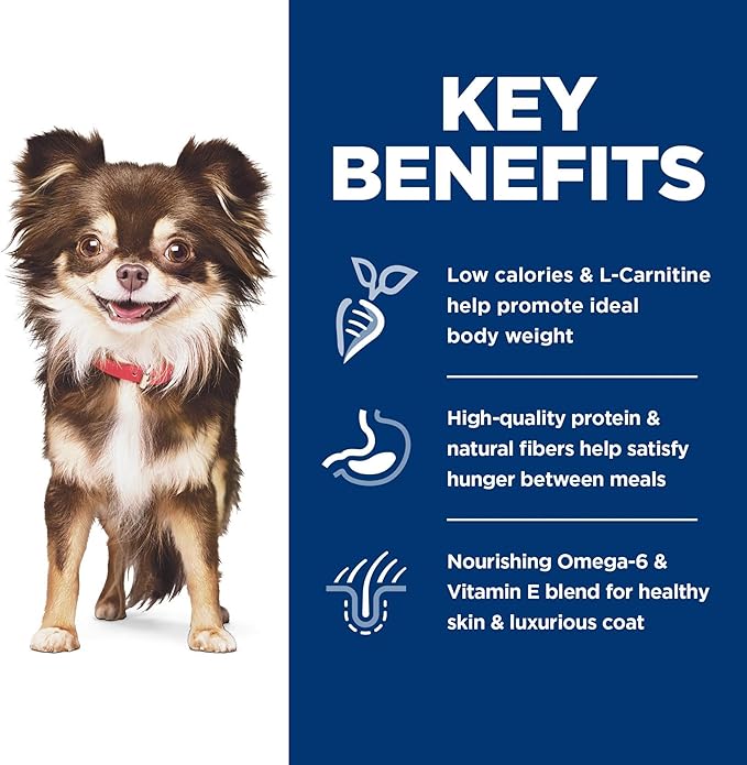 Hill's Science Diet Sensitive Stomach & Skin, Adult 1-6, Small & Mini Breeds Stomach & Skin Sensitivity Support, Dry Dog Food, Chicken Recipe, 4 lb Bag - PAWPICO