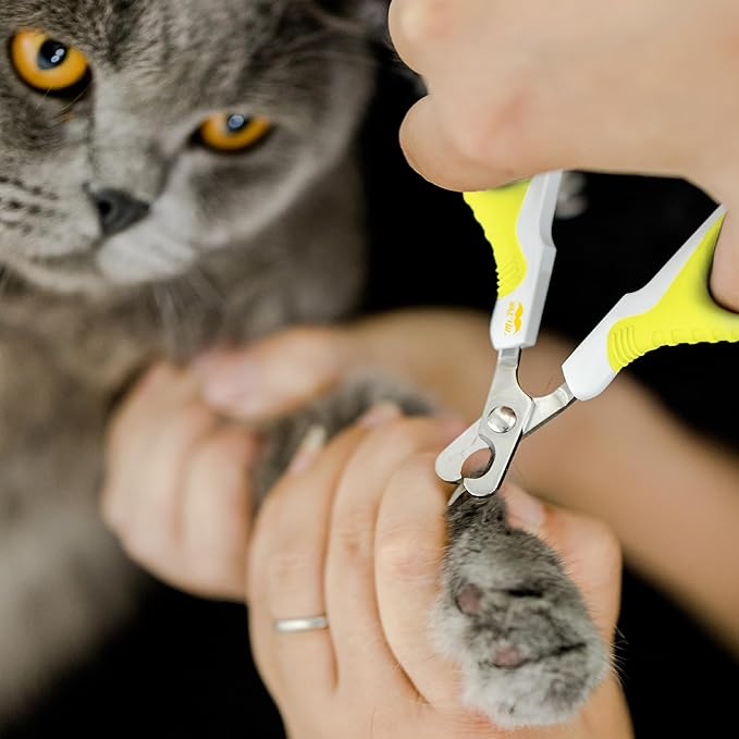 Mr. Pen- Cat Nail Clipper, Lime Green, Cat Nail Trimmer, Cat Nail Clippers, Cat Claw Clippers, Cat Clippers for Nails, Pet Nail Clippers, Kitten Nail Clipper, Small Dog Nail Clipper Cat Claw Trimmer - PAWPICO