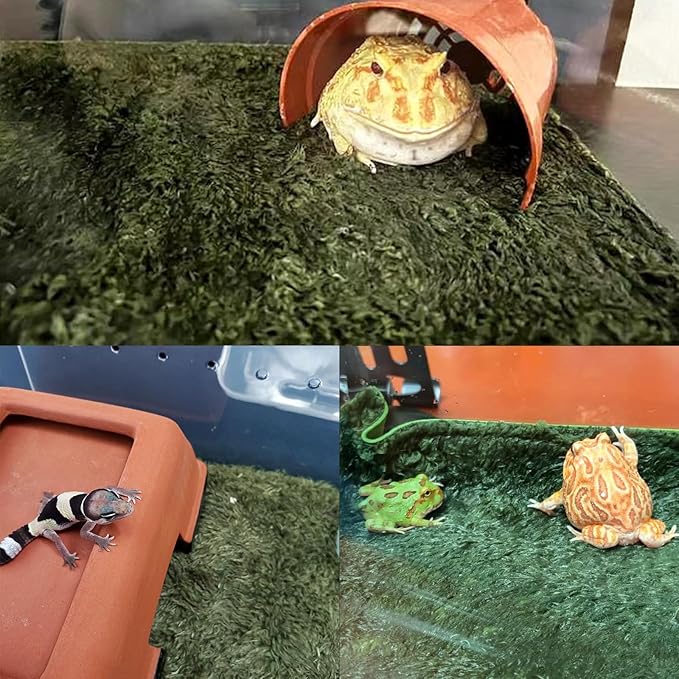 kathson 4pcs Reptile Carpet Terrarium Liner Tortoise Bedding Reptile Substrate Liner Mat Pet Cage Mats Supplies for Lizard Snake Bearded Dragon Gecko Chameleon Turtle Iguana (11.81 X 7.87 in) kathson