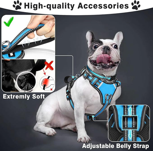 WINSEE Pet Harness Collar and Leash Set, All-in-one Reflective Dog Harness No Pull with Adjustable Buckles for Puppies, Small, Medium, Large, and Extra-Large Dogs (Large, Blue) - PAWPICO