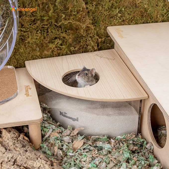 Niteangel Animal Sand-Bath Box: - Acrylic Critter's Sand Bath Shower Room & Digging Sand Container for Hamsters Mice Lemming Gerbils or Other Small Pets (Triangle, Burlywood) Niteangel