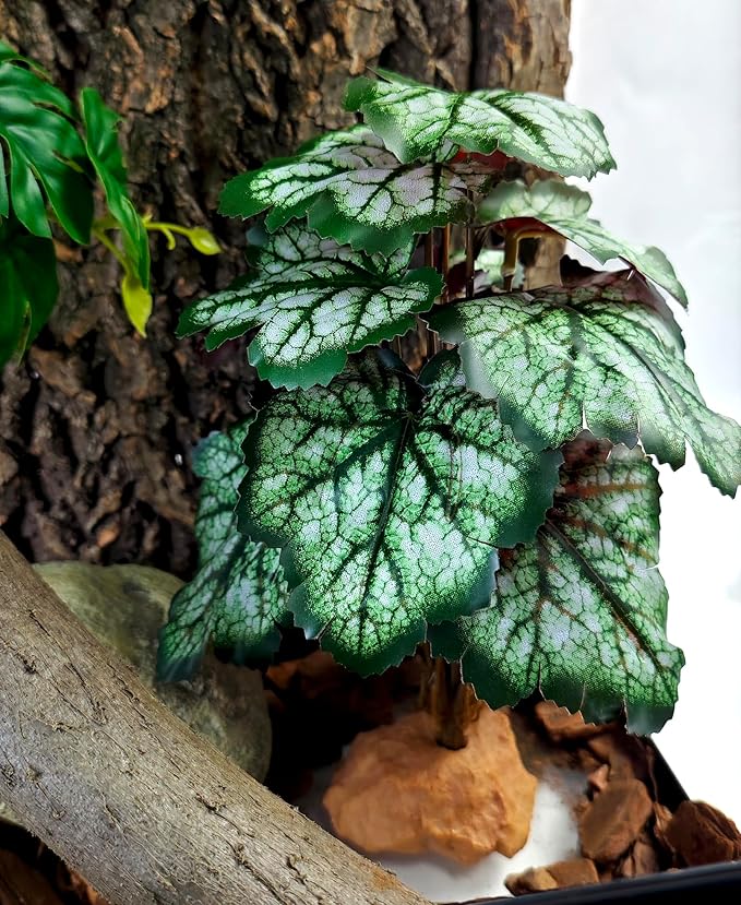 Woyrise Reptile Artificial Plants for Terrarium Decor, Amphibian Habitat Decorations Bearded Dragon Tank Accessories fit Crested Gecko Leopard Lizard Chameleon Snake Frog - Fake Green Heuchera Woyrise