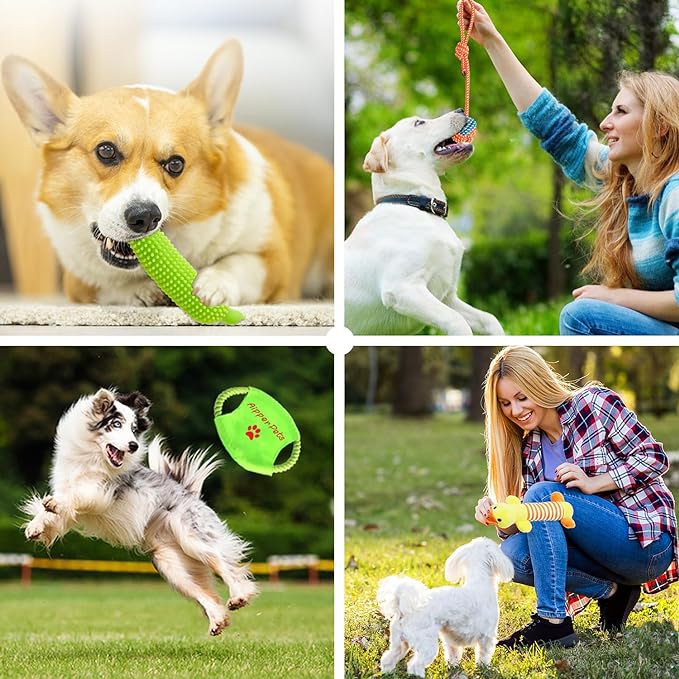 Dog Puppy Toys 25 Pack,Puppy Chew Toys for Fun and Teeth Cleaning,Dog Squeak Plush Toys, Squeaky Toy Balls, Tug of War Toys, Puppy Teething Toys, Dog Rope Toys Pack for Puppy to Small Dogs - PAWPICO