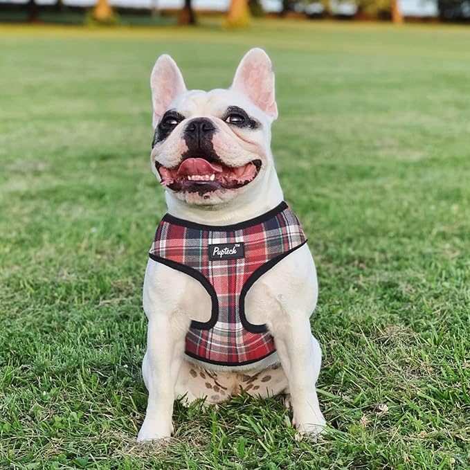 PUPTECK Soft Mesh Dog Harness and Leash Set Pet Puppy Cat Comfort Padded Vest No Pull Harnesses, Red Mixed, XS PUPTECK