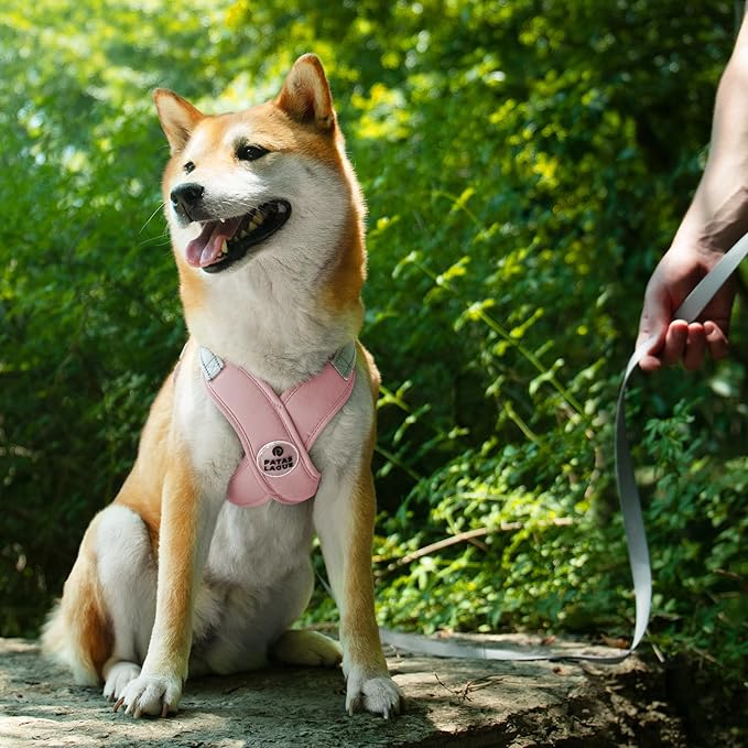 Patas Lague Dog Harness with Leash Set Adjustable Soft Padded Step-in Dog Vest No Choke No Pull Reflective for Small Pets with Poop Bags and Dispenser, Solid and No-chew, Pink XS PatasLague