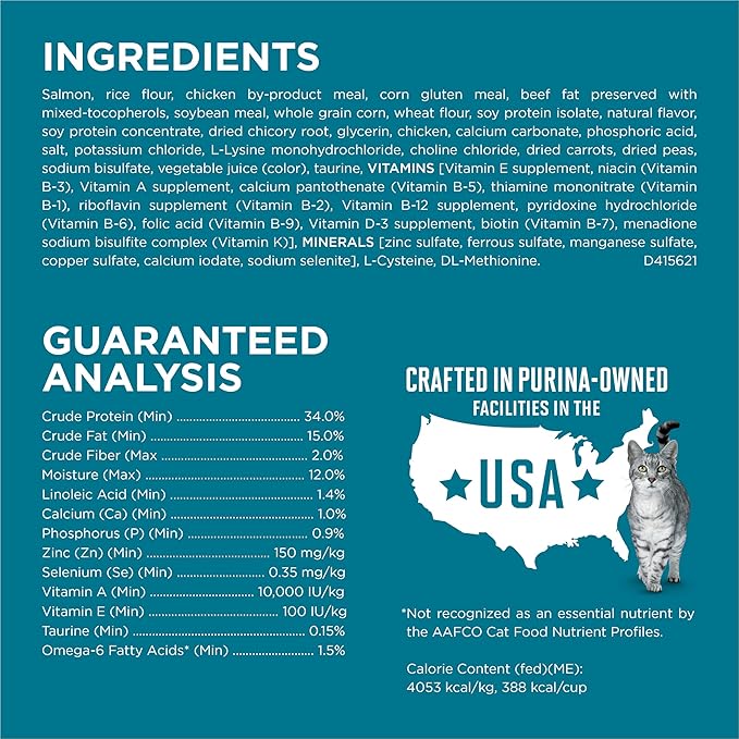 Purina ONE Natural Dry Cat Food, Tender Selects Blend with Real Salmon - 22 lb. Bag - PAWPICO