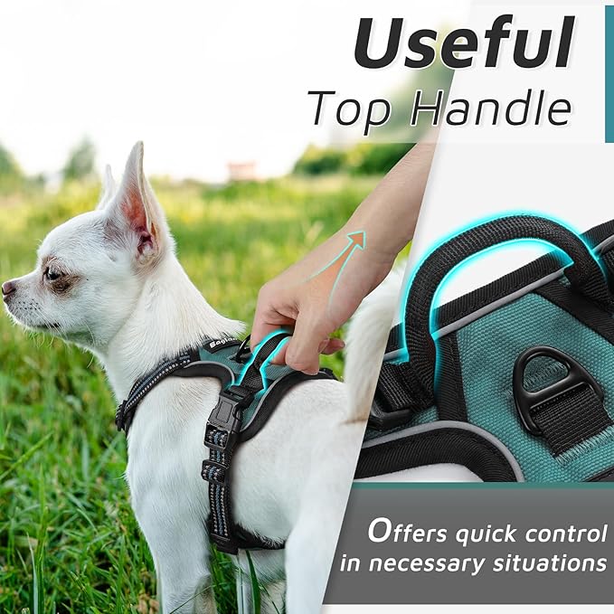Eagloo Small Dog Harness No Pull, Service Vest with Reflective Strips and Control Handle, Adjustable and Comfortable for Easy Walking, No Choke Pet Harness with 2 Metal Rings, Dark Green, XS GoExplorewithEagloo