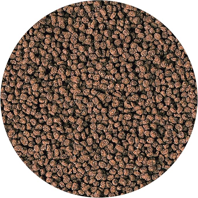 Hikari Marine-S Pellets Fish Food for Smaller Marine Fish Hikari