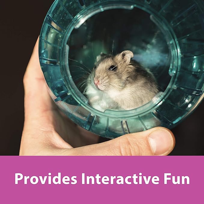 Kaytee 7" Moon Glow Run-About Exercise Ball For Pet Hamsters & Gerbils Kaytee