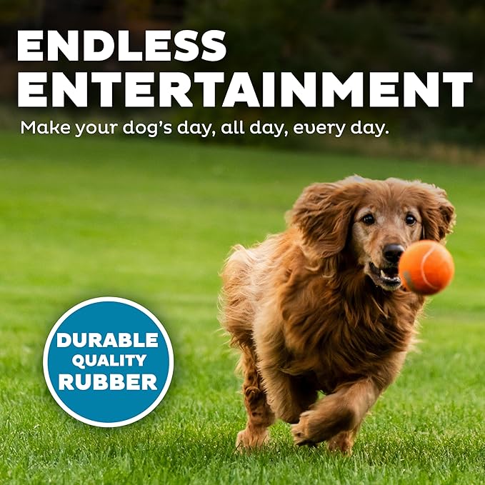 Outward Hound Squeaker Ballz Fetch Dog Toy, Large - 2 Pack - PAWPICO