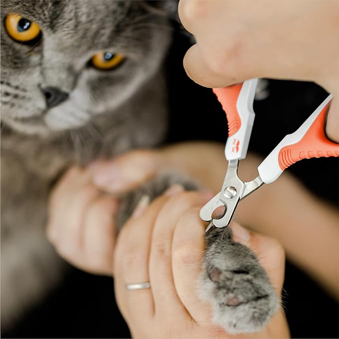 Mr. Pen- Cat Nail Clipper, Orange, Cat Nail Trimmer, Cat Nail Clippers, Cat Claw Clippers, Cat Clippers for Nails, Pet Nail Clippers, Kitten Nail Clipper, Small Dog Nail Clipper, Cat Claw Trimmer - PAWPICO