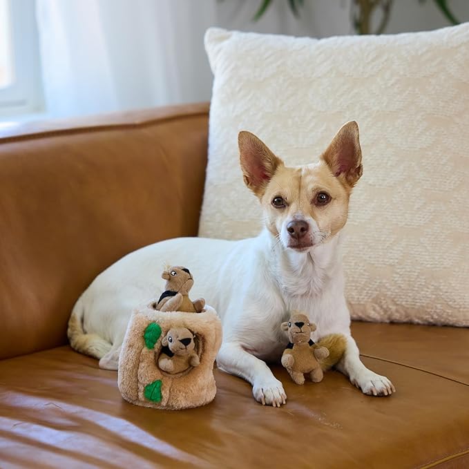 Outward Hound Hide A Squirrel Plush Dog Toy Puzzle, Small - PAWPICO