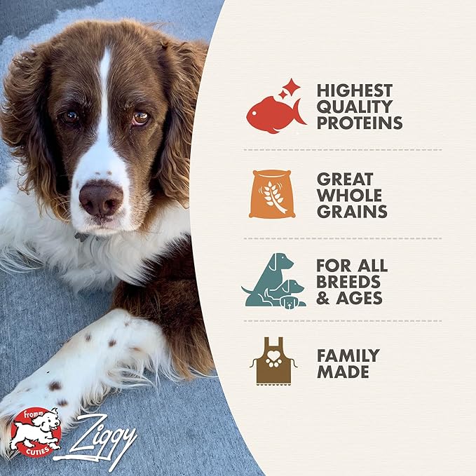 Fromm Four-Star Nutritionals Trout & Whitefish Dog Food - Premium Dry Dog Food - Trout Recipe - 4 lb - PAWPICO
