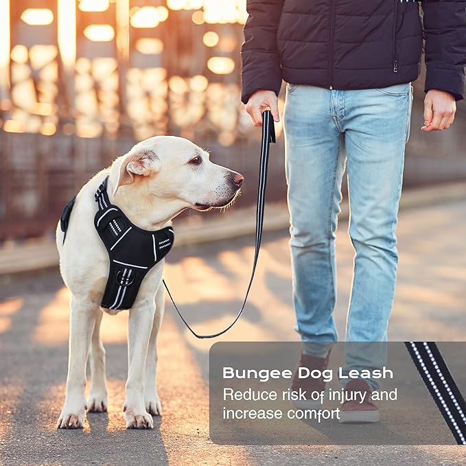 No Pull Dog Harness for Medium Dogs, Adjustable No Choke Pet Vest with Dog Leash Fit Smart Reflective Pet Walking Harness for Training Easy Control Soft Handle Black XL BUMBIN